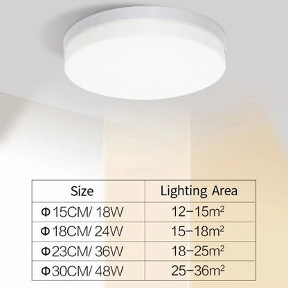 Ceiling Light Ultra-thin Household LED